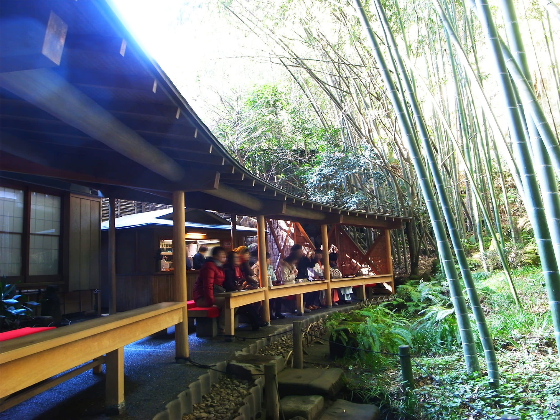 報国寺と竹林と | Hokokuji-Temple and Bamboo thicket in Kamakura
