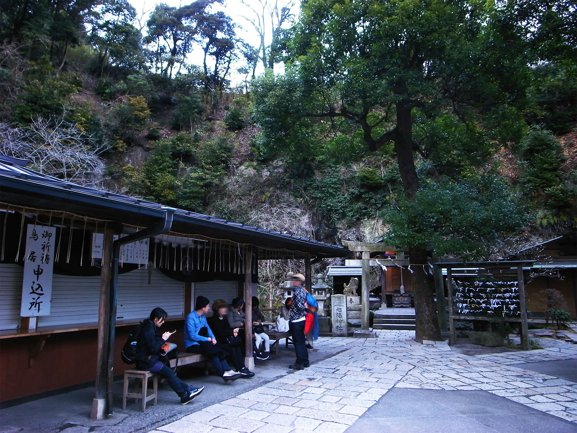 鎌倉散策と梅の花と | Kamakura walking and Ume in 2016