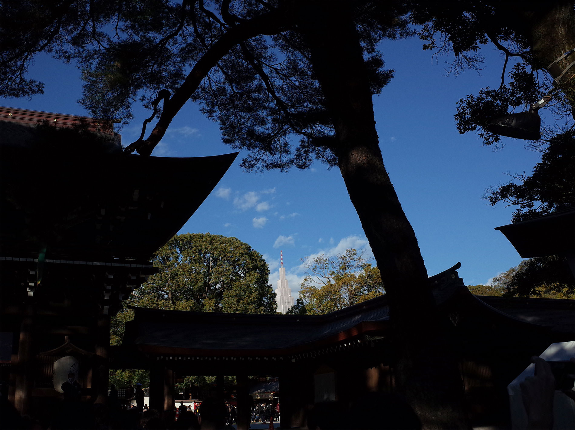 初詣2019 / The first Tokyo's shrine visit of 2019