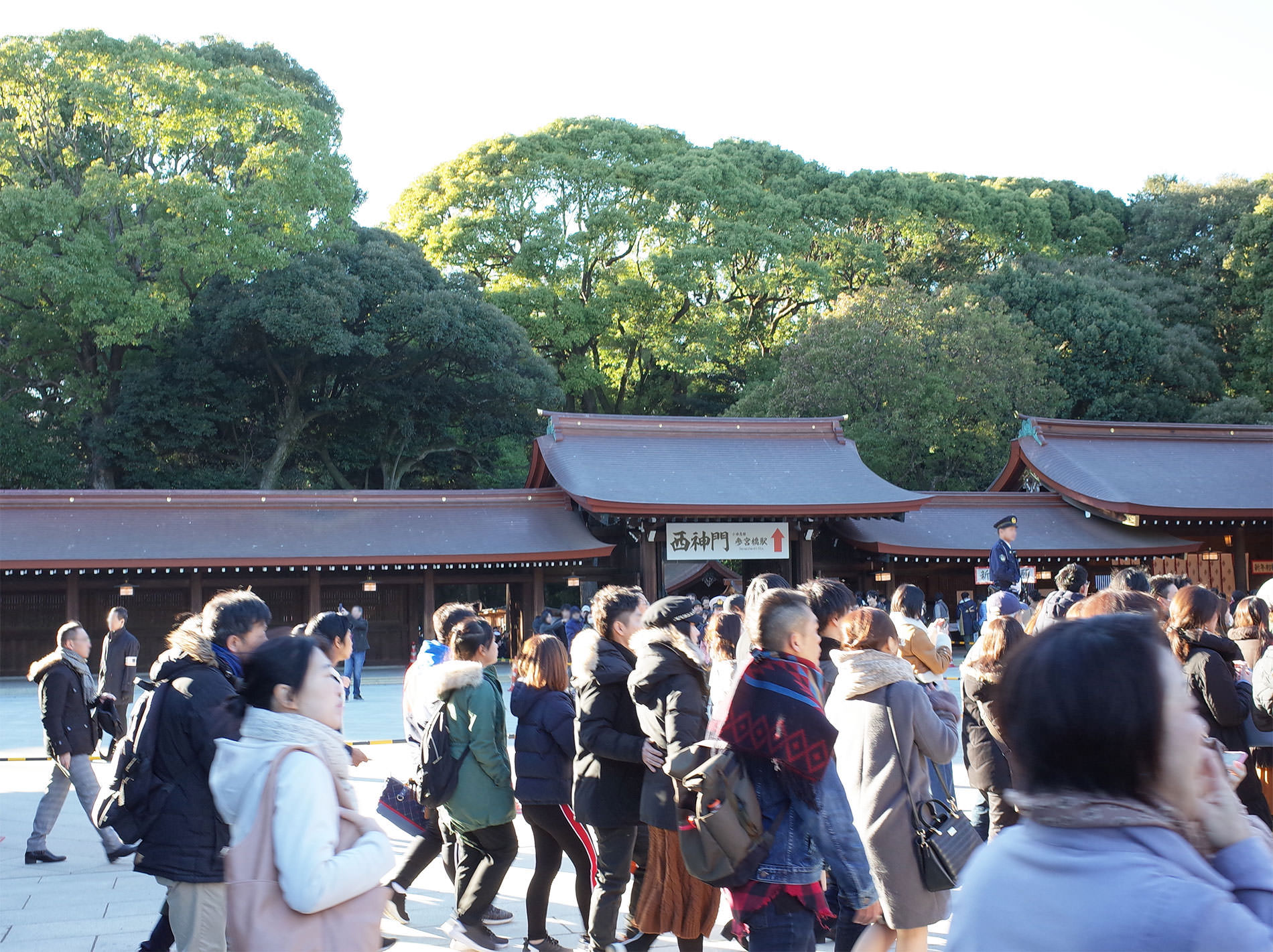 初詣2019 / The first Tokyo's shrine visit of 2019