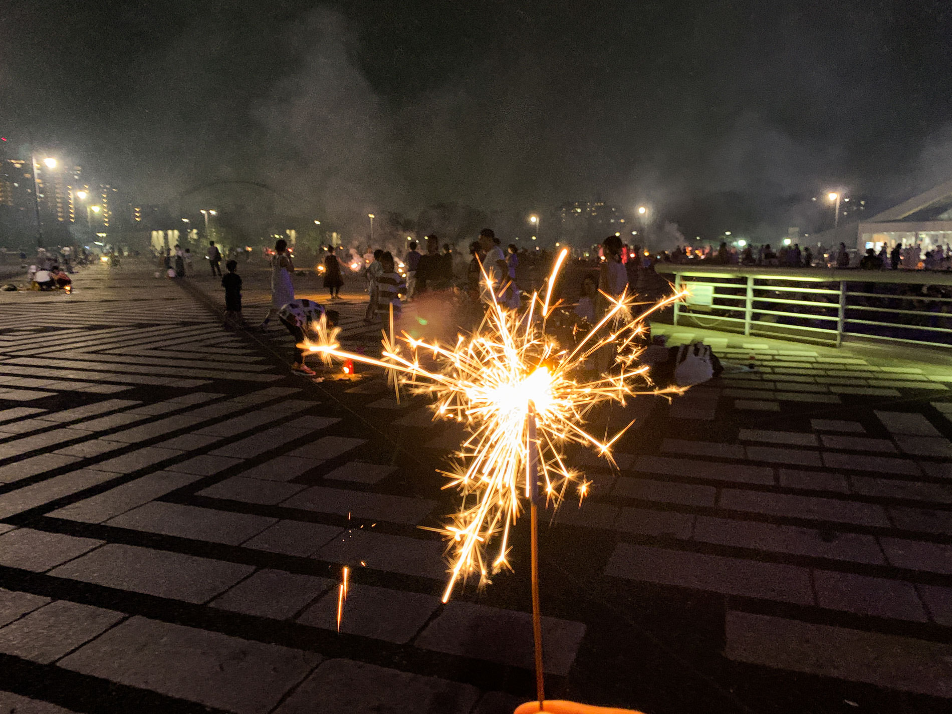 駒沢公園で花火 | Hand held fireworks at Komazawa park, Tokyo