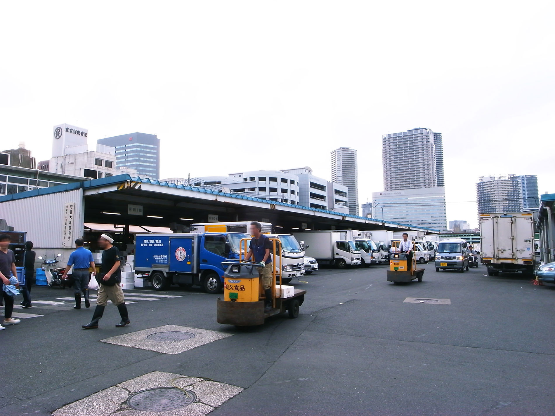 築地市場 2015 | Tsukiji Market Tokyo 2015