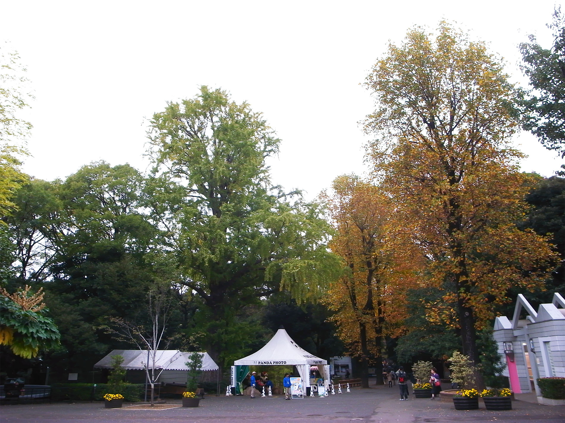 上野動物園と落語鑑賞と | Ueno Zoo and Rakugo, 2014, Tokyo