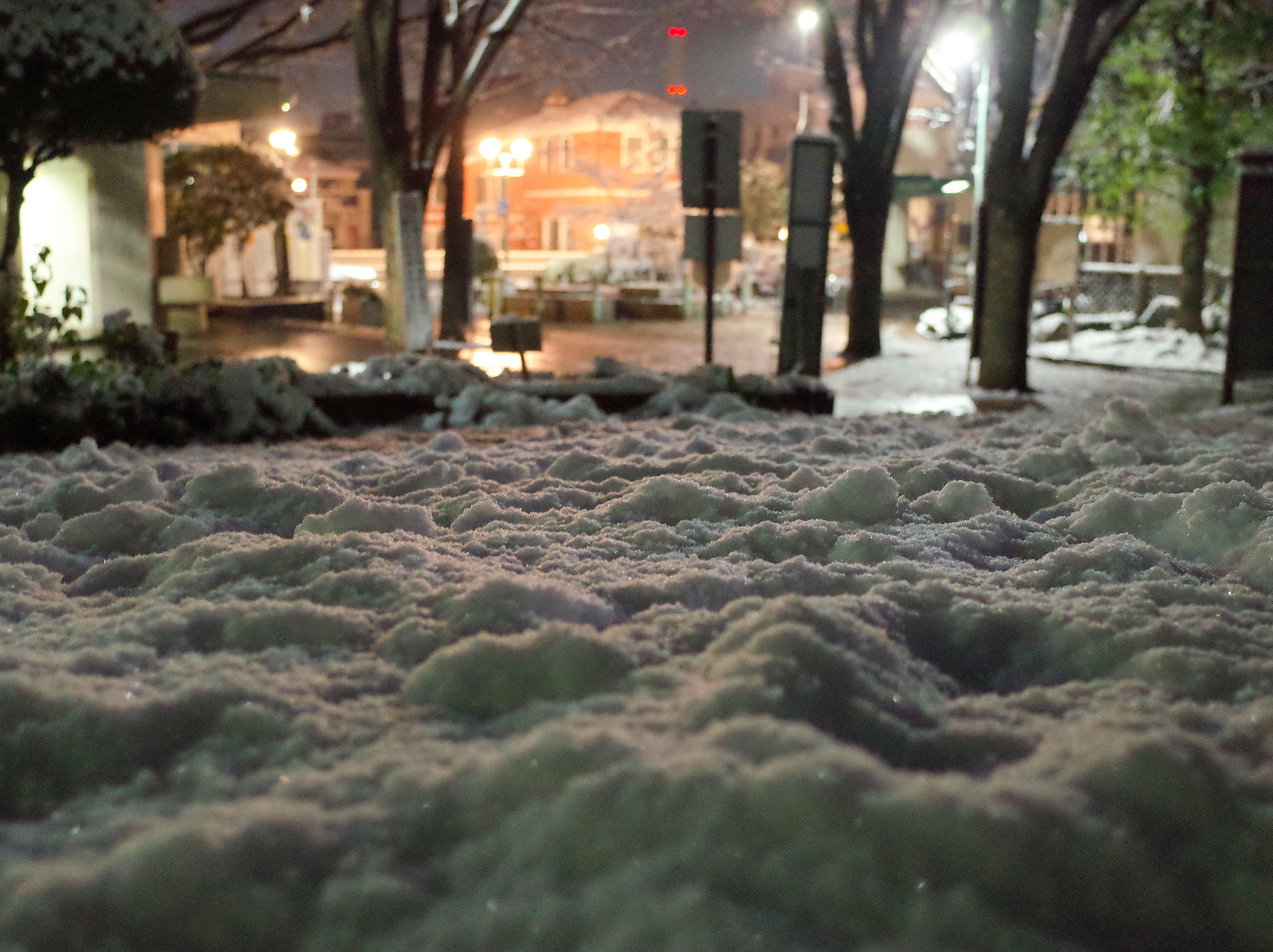 雪 2022 / It was snow in tokyo 2022