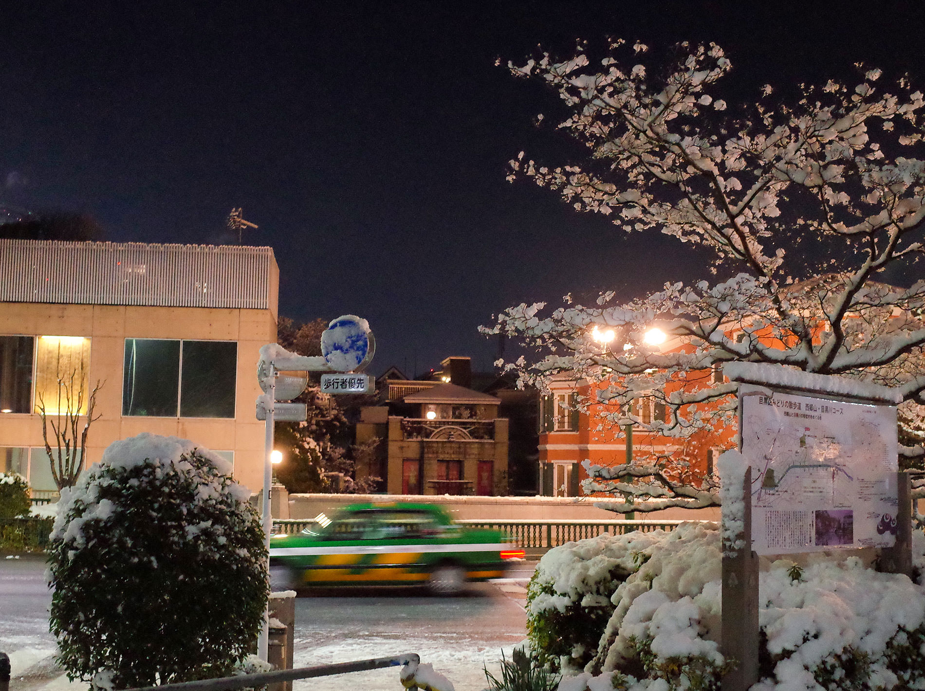 雪 2022 / It was snow in tokyo 2022